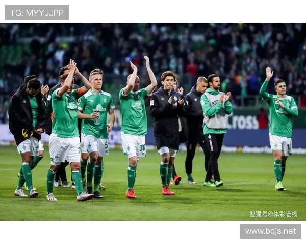 当球队升入德甲：探讨球队晋级德甲联赛后的挑战与机遇